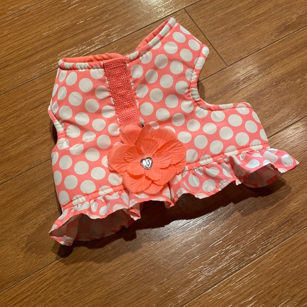 Dog harness with a cute design that was never worn